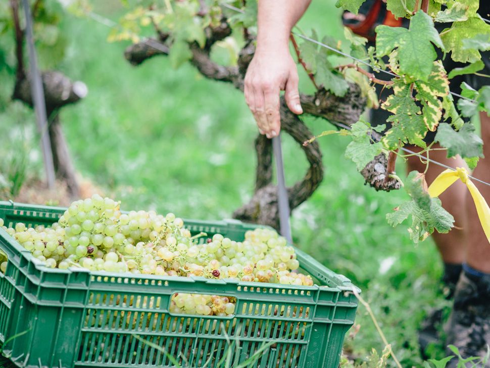 © Francesca Palazzi © Francesca Palazzi