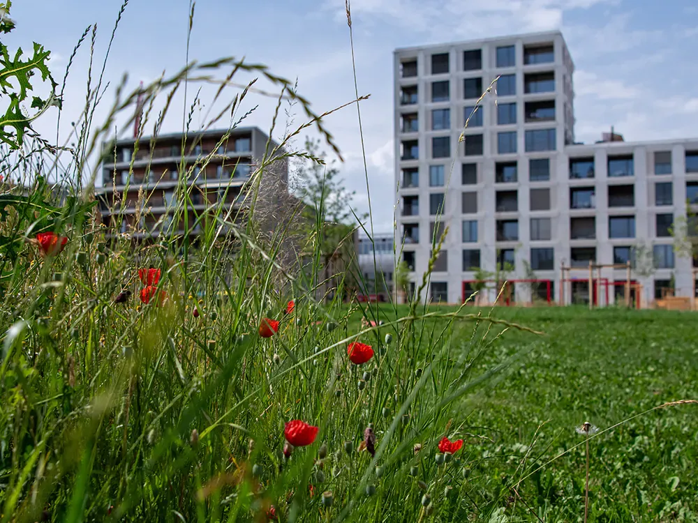 © Mathilde Imesch – Ville de Lausanne © Mathilde Imesch – Ville de Lausanne